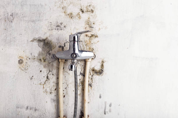 Best Post-Remediation Services in Marion, SC