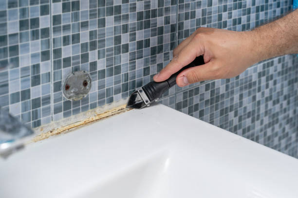 Best Mold Remediation for Schools in Marion, SC
