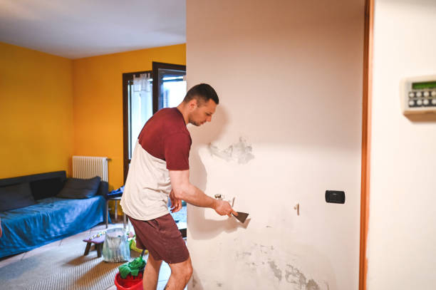  Marion, SC Mold Removal Pros